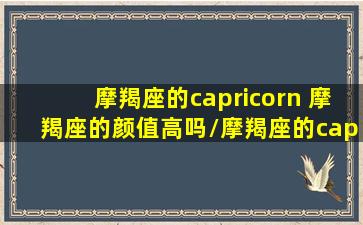 摩羯座的capricorn 摩羯座的颜值高吗/摩羯座的capricorn 摩羯座的颜值高吗-我的网站